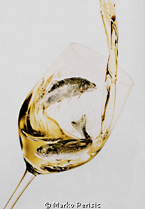 Glass of wine by Marko Perisic 